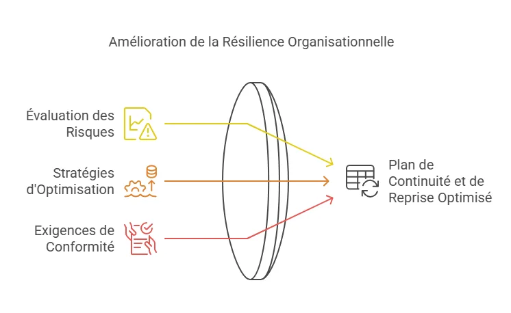 Plan de continuité et de reprise optimisé