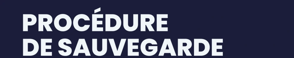 Illustration:Téléchargez un modèle de procédure de sauvegarde informatique & un ca...