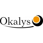 Logo Okalys - Logiciels de Gestion des Ventes