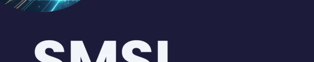 Illustration:Téléchargez notre modèle de Schéma Directeur SMSI. Un guide complet p...