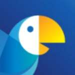 Logo Shiptify - Organisation & Logistique