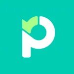 Logo Paymo - Gestion de Projets et Suivi du Temps