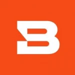 Logo Bitsight - SI Cybersécurité